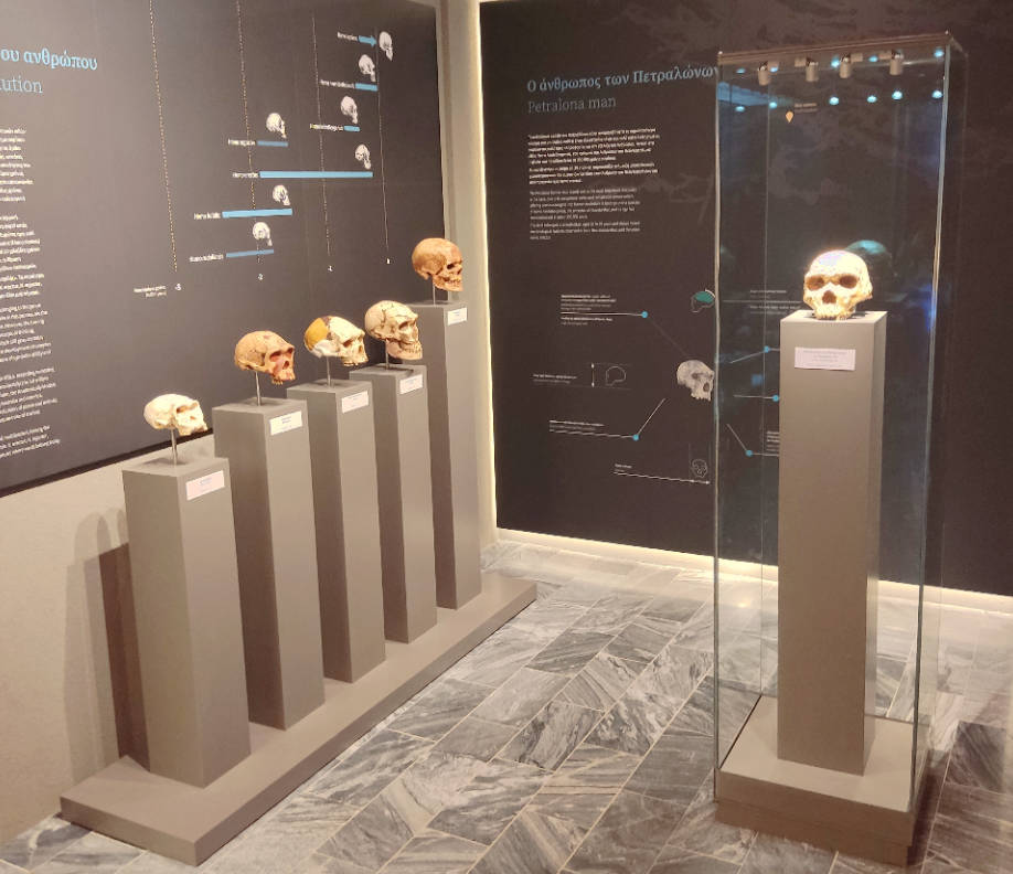 petralona chalkidiki museum 1