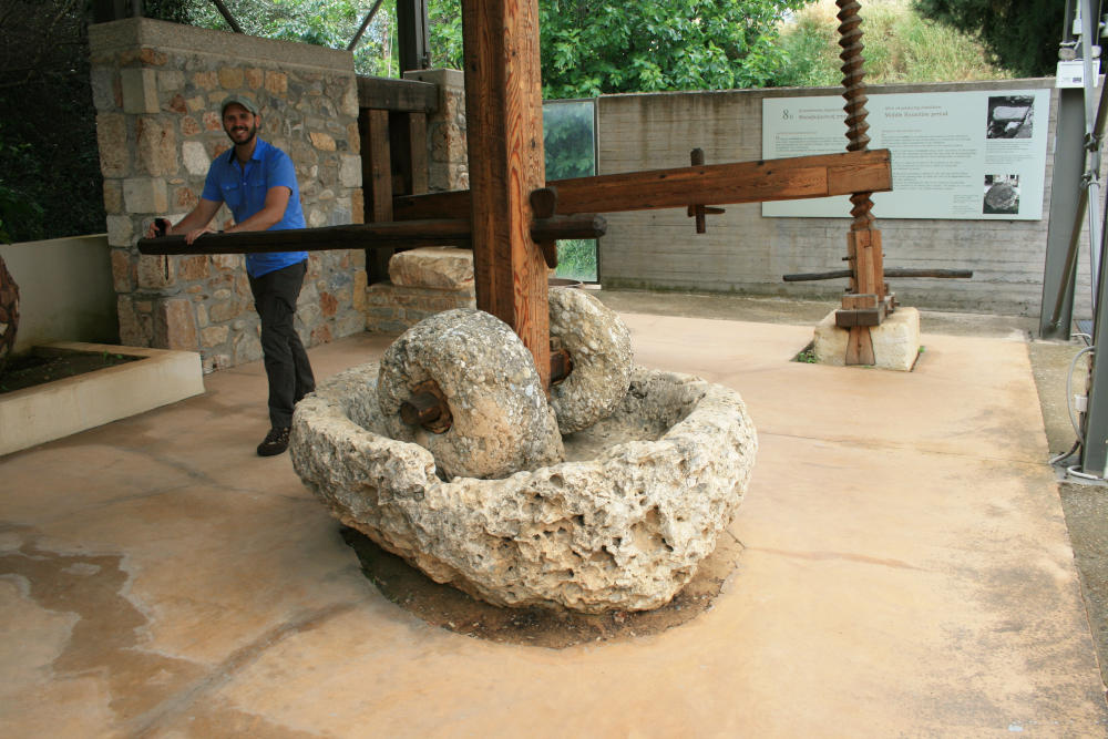 Steinpresse Olivenoelgewinnung Sparta Antike