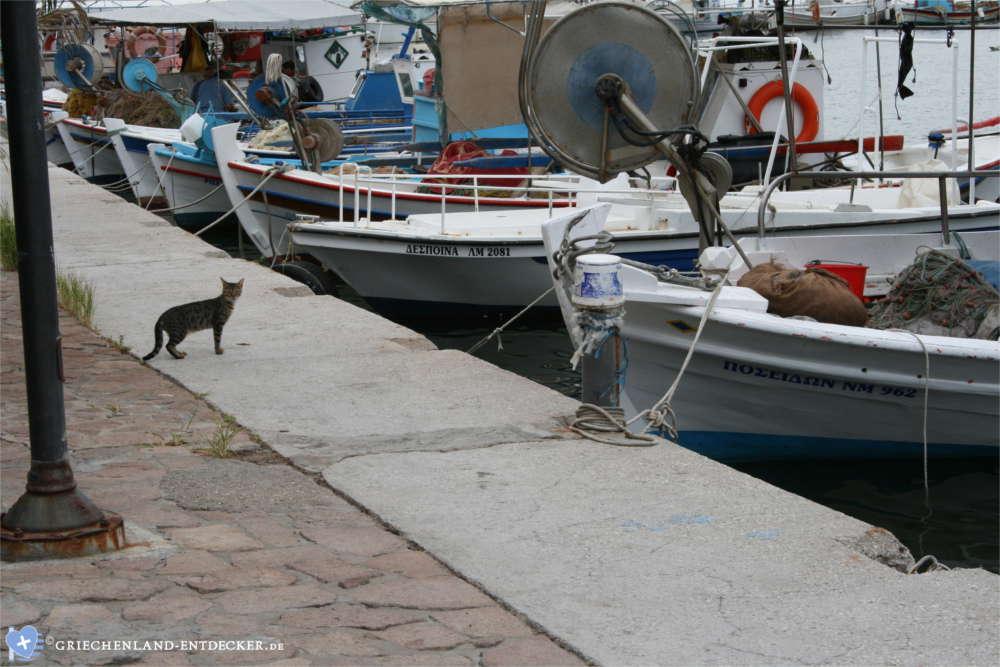 skala kallonis lesbos 2