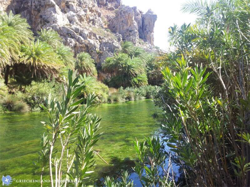 preveli palmenstrand fluss kreta