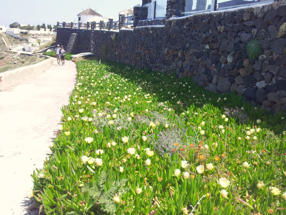 wanderroute-fira-oia-santorini-2